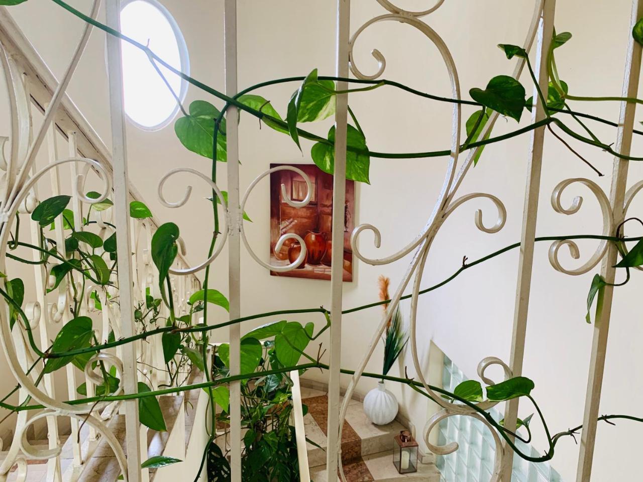 Seddo Guest House Αμπιτζάν Εξωτερικό φωτογραφία